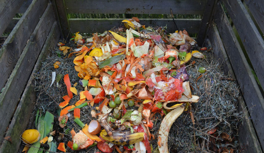 Wyprodukuj sobie kompost!