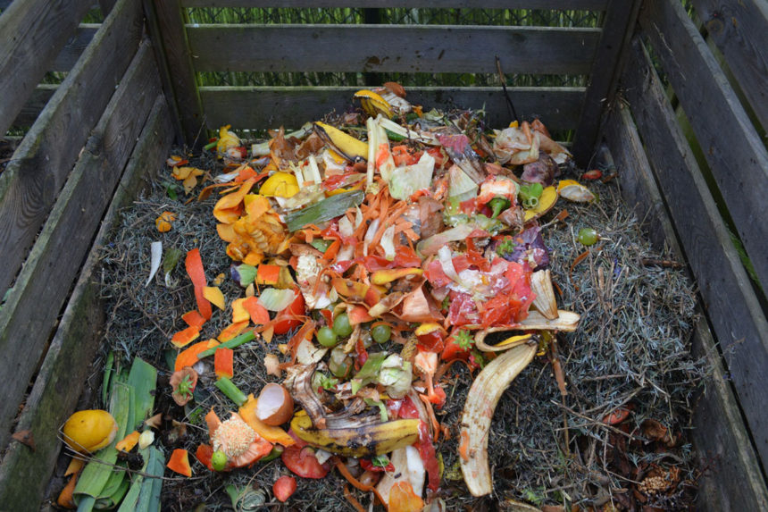 Wyprodukuj sobie kompost!